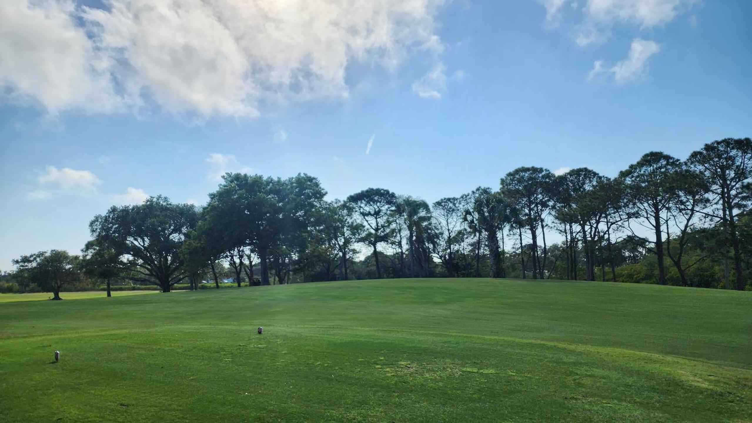 (Photo submitted by Greens4Greens on 04/09/2023)