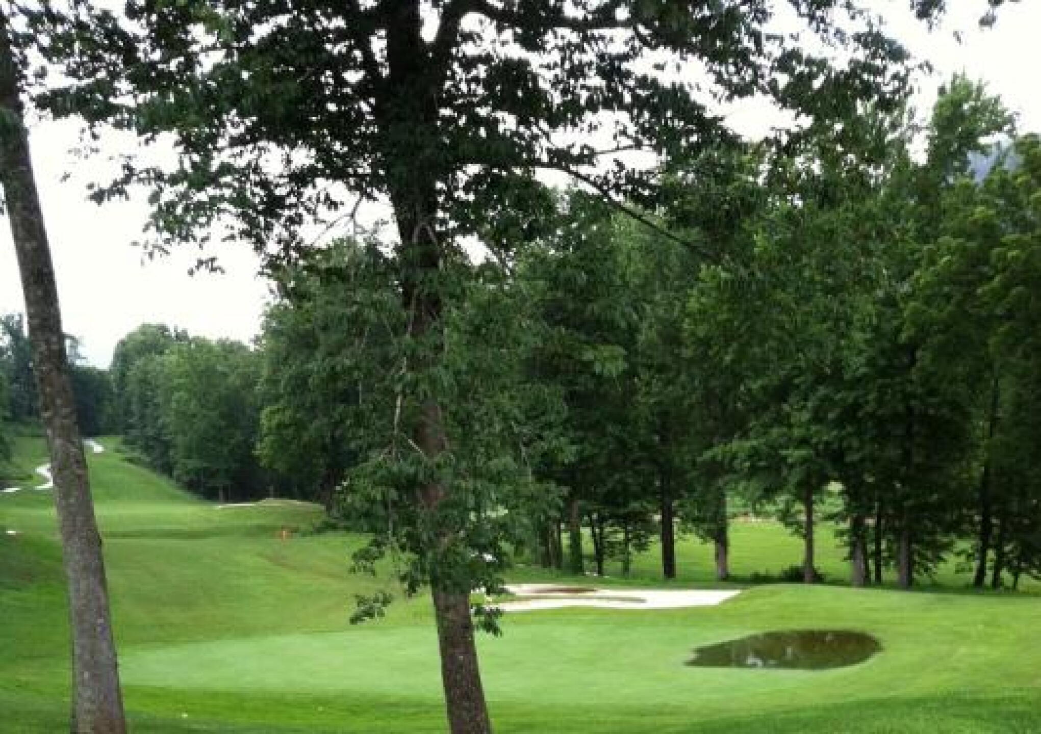 Green (Photo submitted by btpar3 on 07/17/2013)