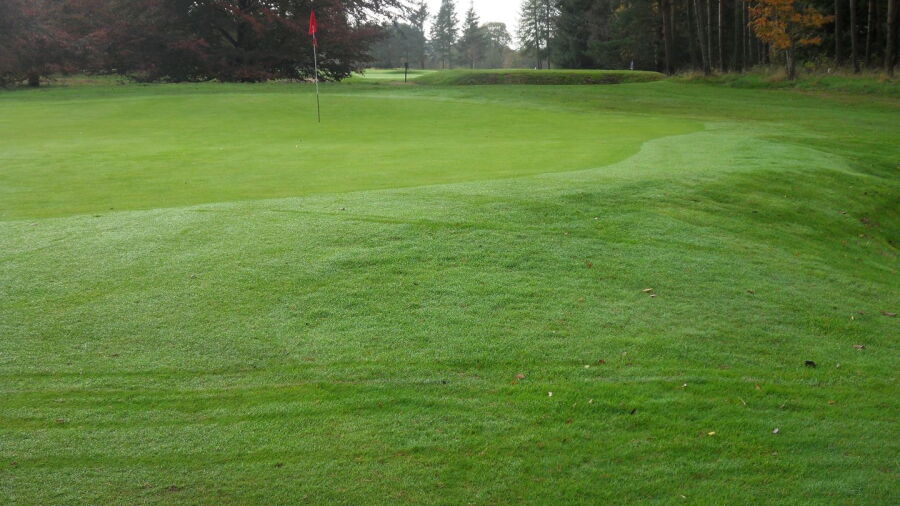 Edzell GC