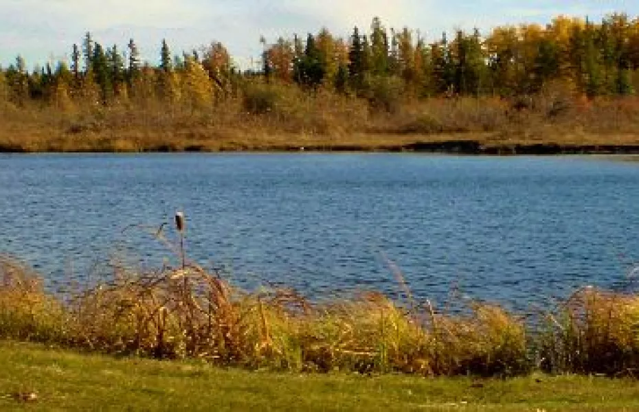 Edmonton Springs GC