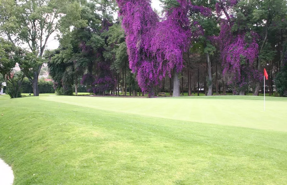 Club de Golf Bellavista