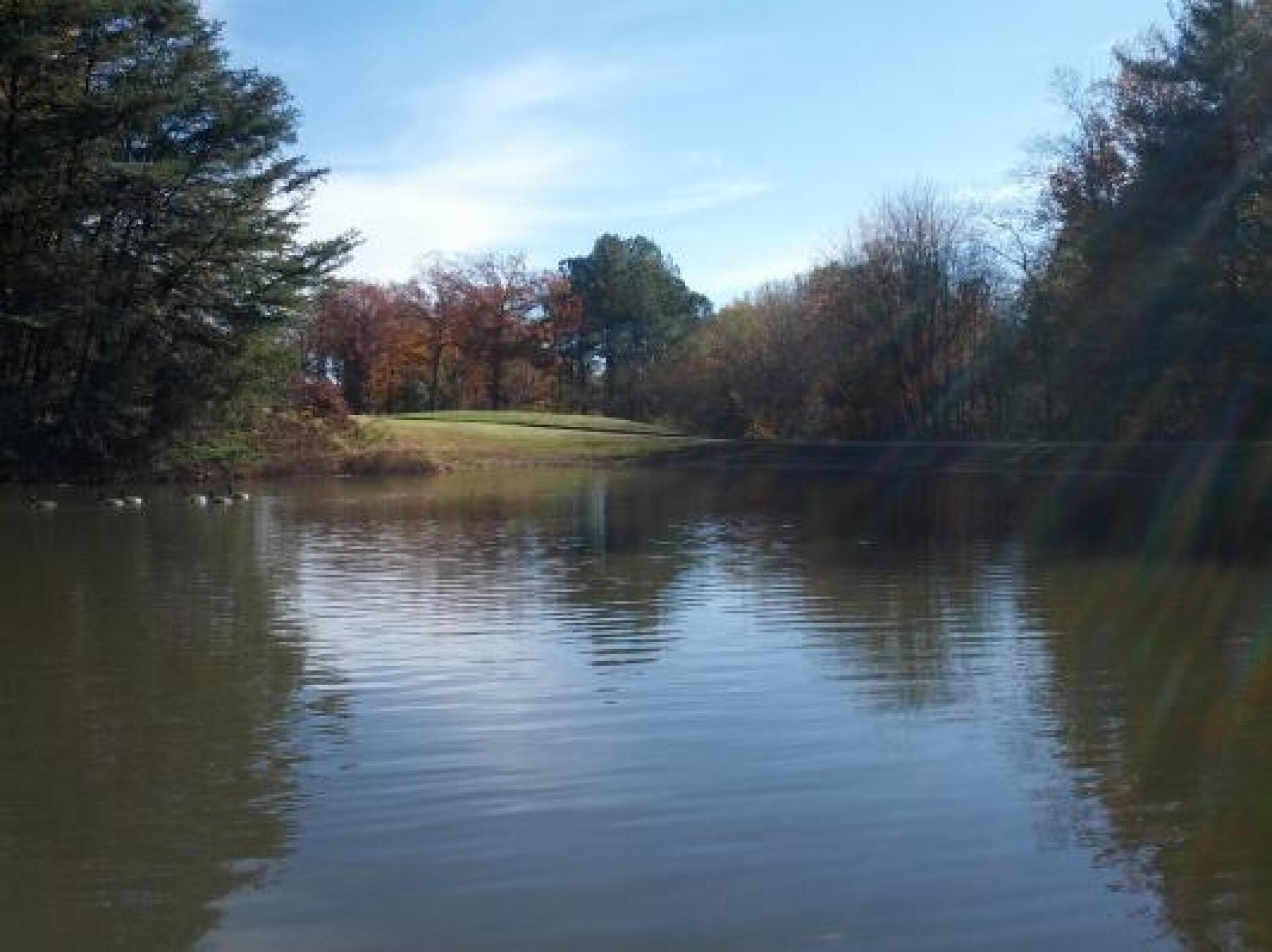 1st Green looking across water in front of 2nd tee box (Photo submitted by n0manarmy on 07/09/2014)