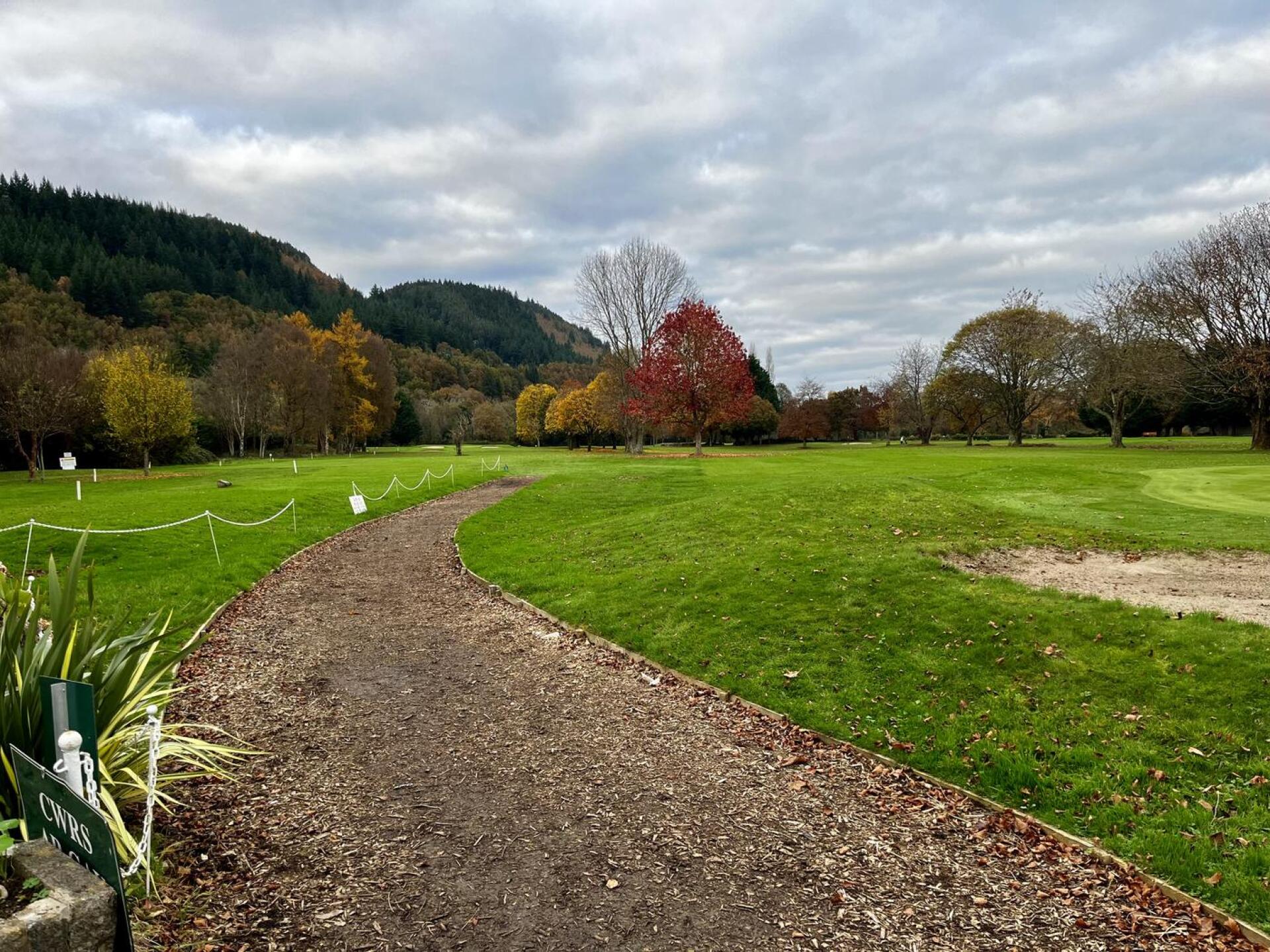 (Photo submitted by t235222386 on 11/25/2024)