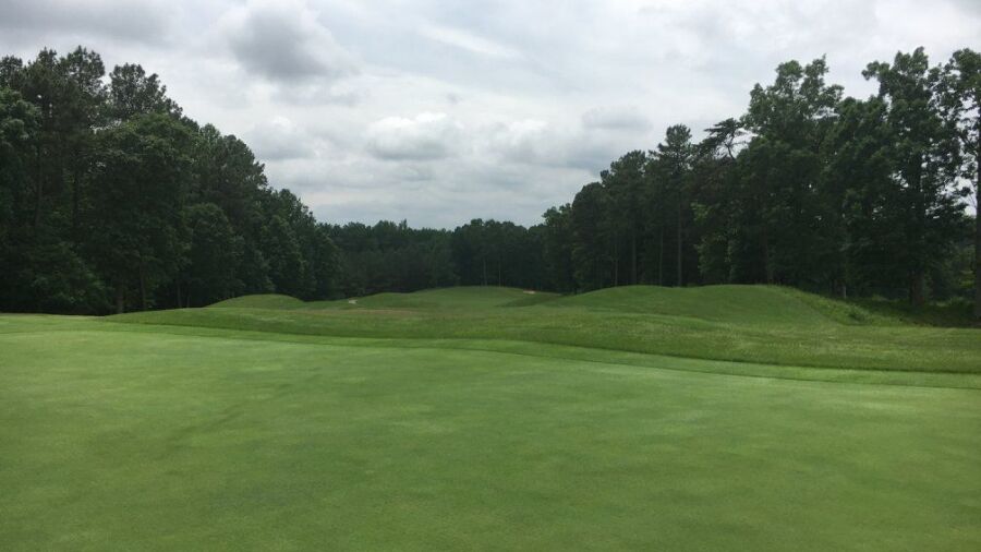 Forest Greens GC