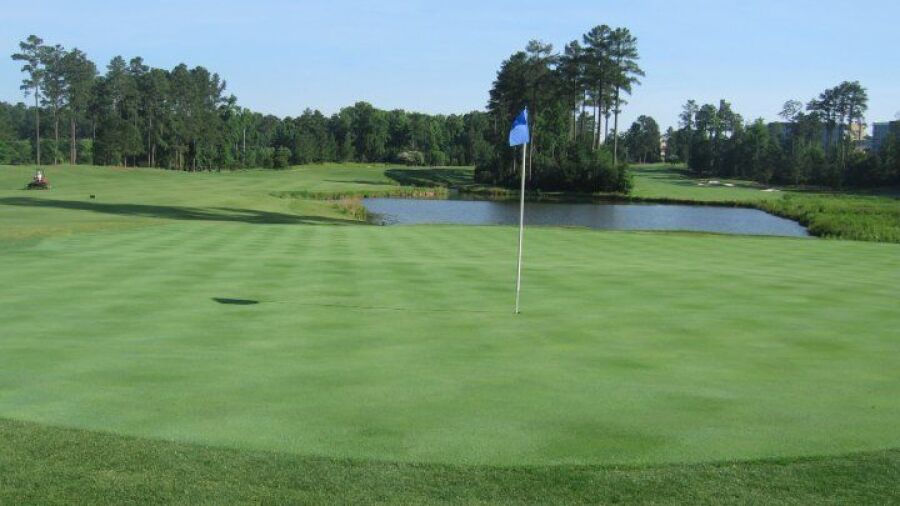 UNC Finley GC: #15
