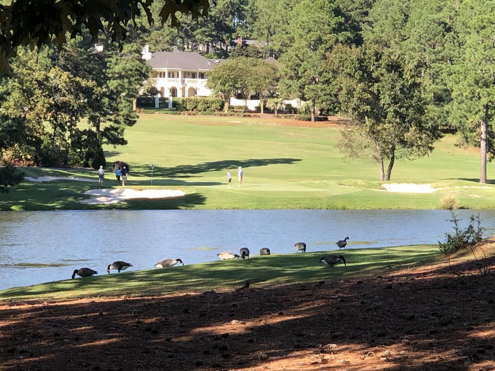 (Photo submitted by 0qQOzlwqHxt3ZJJxZxOy on 04/19/2022)