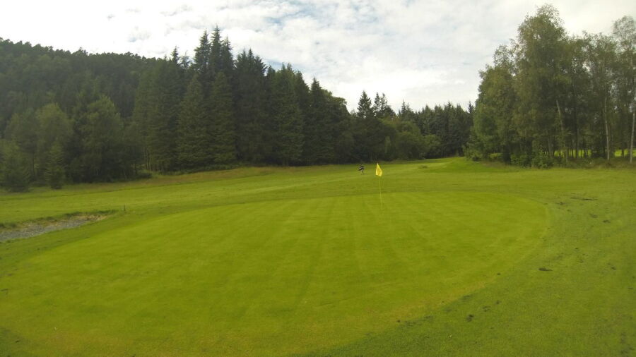 Floro GC: #4