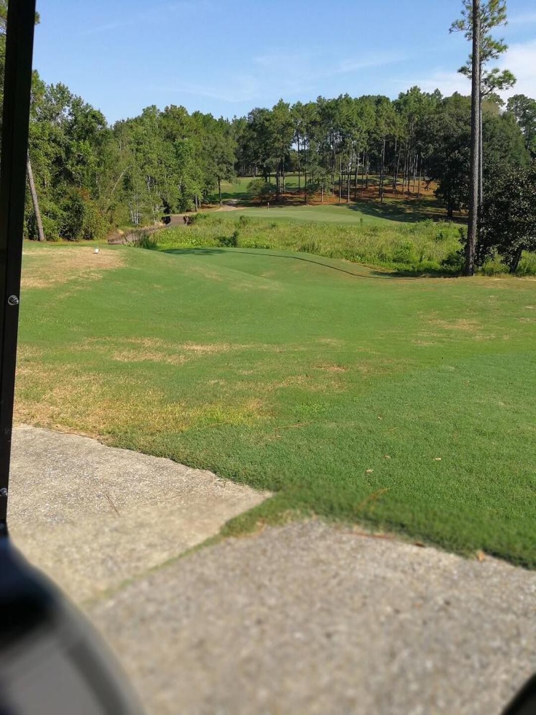 (Photo submitted by Blacmacc on 09/23/2017)