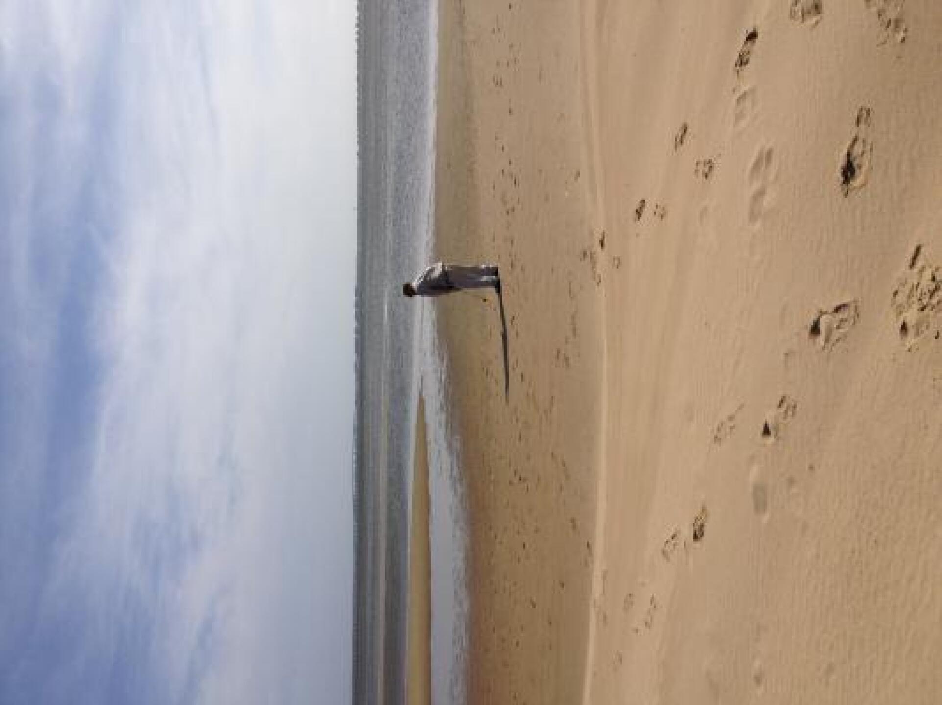 (Photo submitted by Brian2299147 on 05/04/2013)