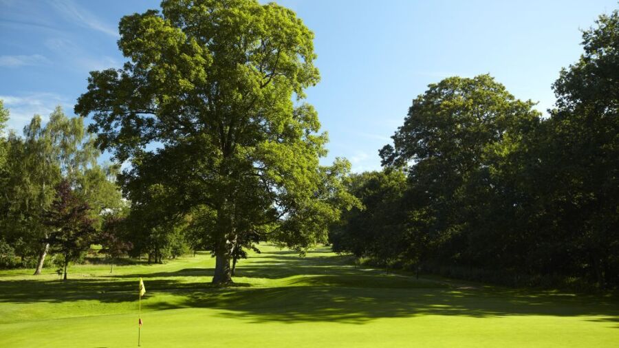 Kedleston Park: #8