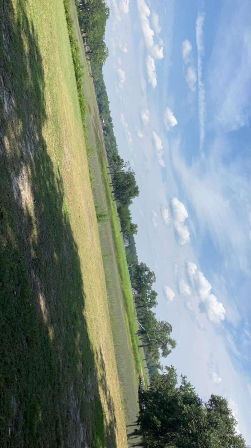 Par 3 Hole 17, over the marsh with beautiful views (Photo submitted by JuanaBe on 06/11/2024)