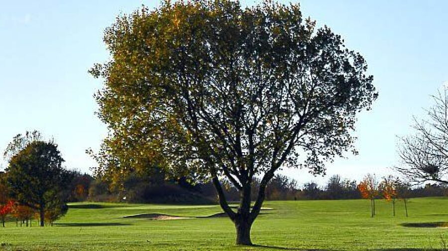 Moelleaaens GC