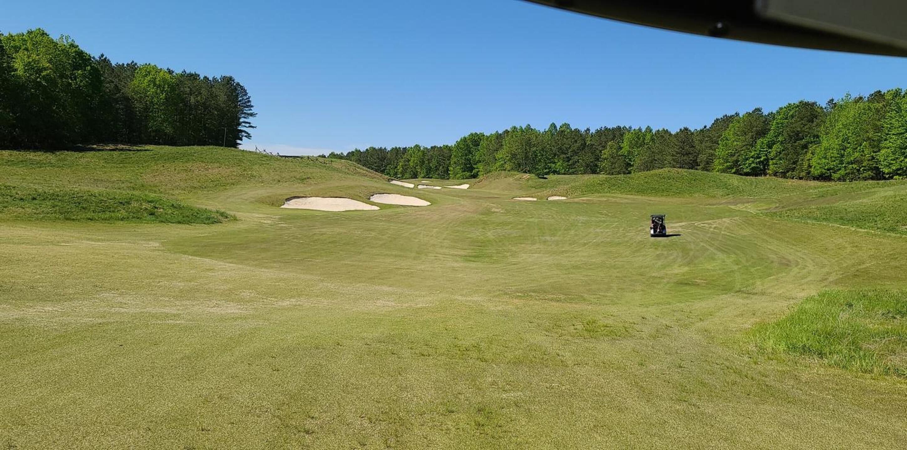 (Photo submitted by Maltenator on 05/02/2020)