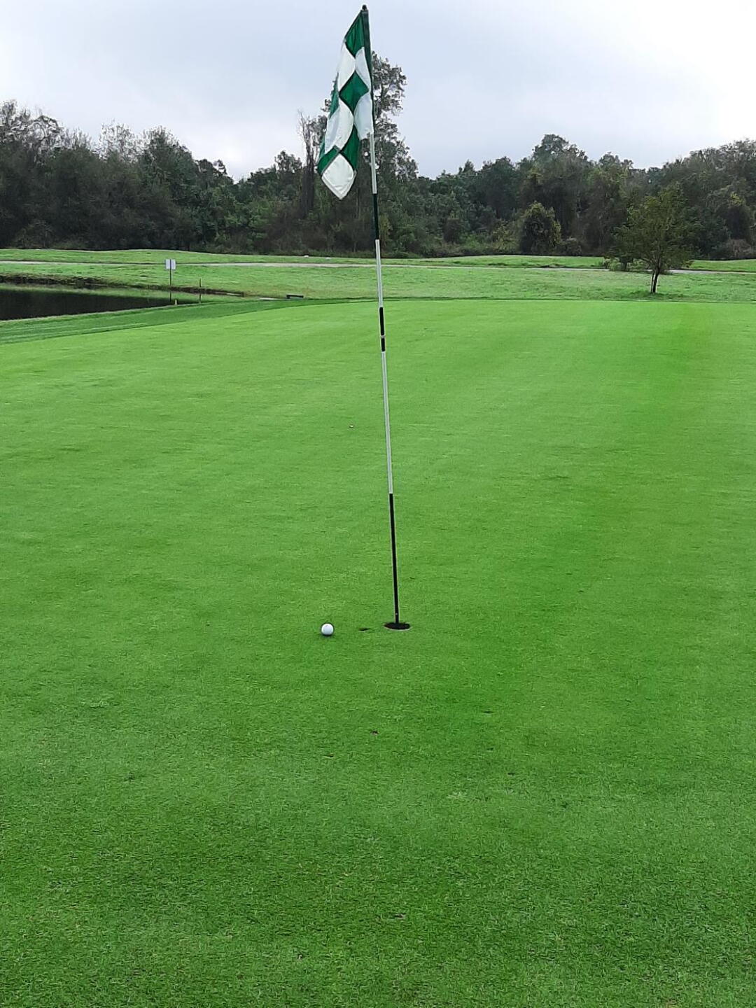 I missed a hole-in-one by two inches on #7. (Photo submitted by Cfrcpass1 on 02/15/2021)