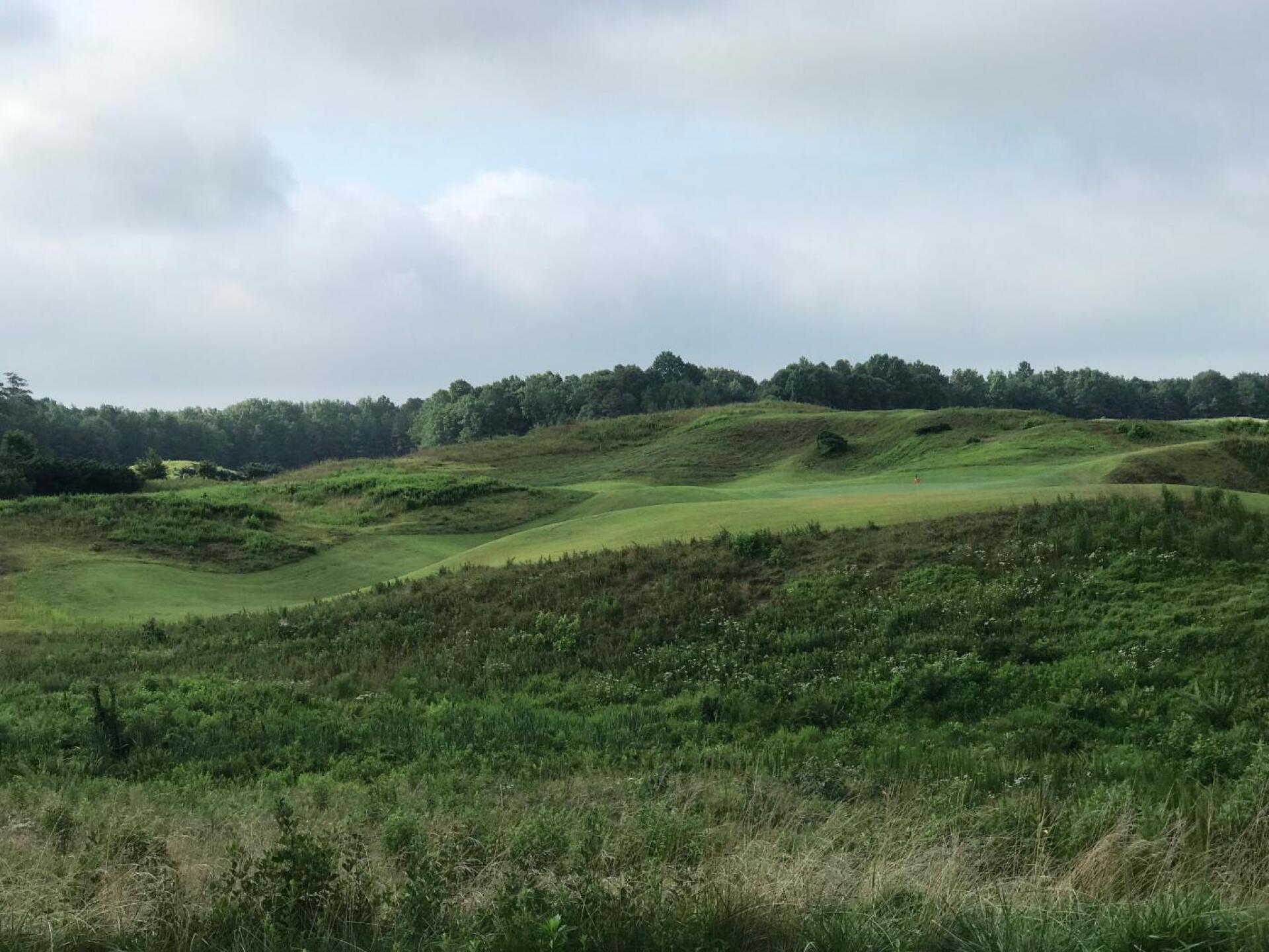 (Photo submitted by WJicvoXMhjXitR3ga5HN on 07/06/2019)