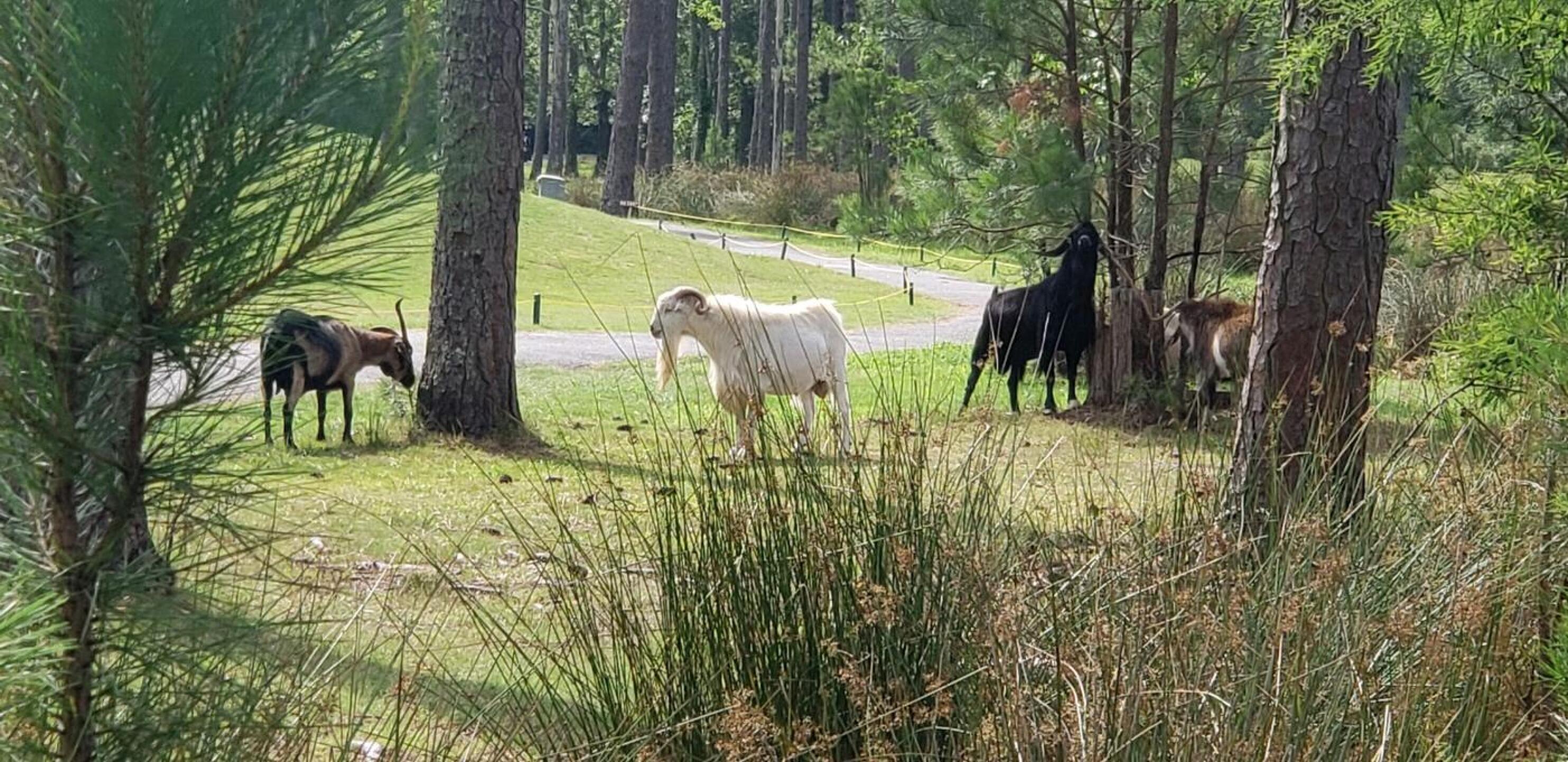 (Photo submitted by ronfurbish on 06/20/2021)