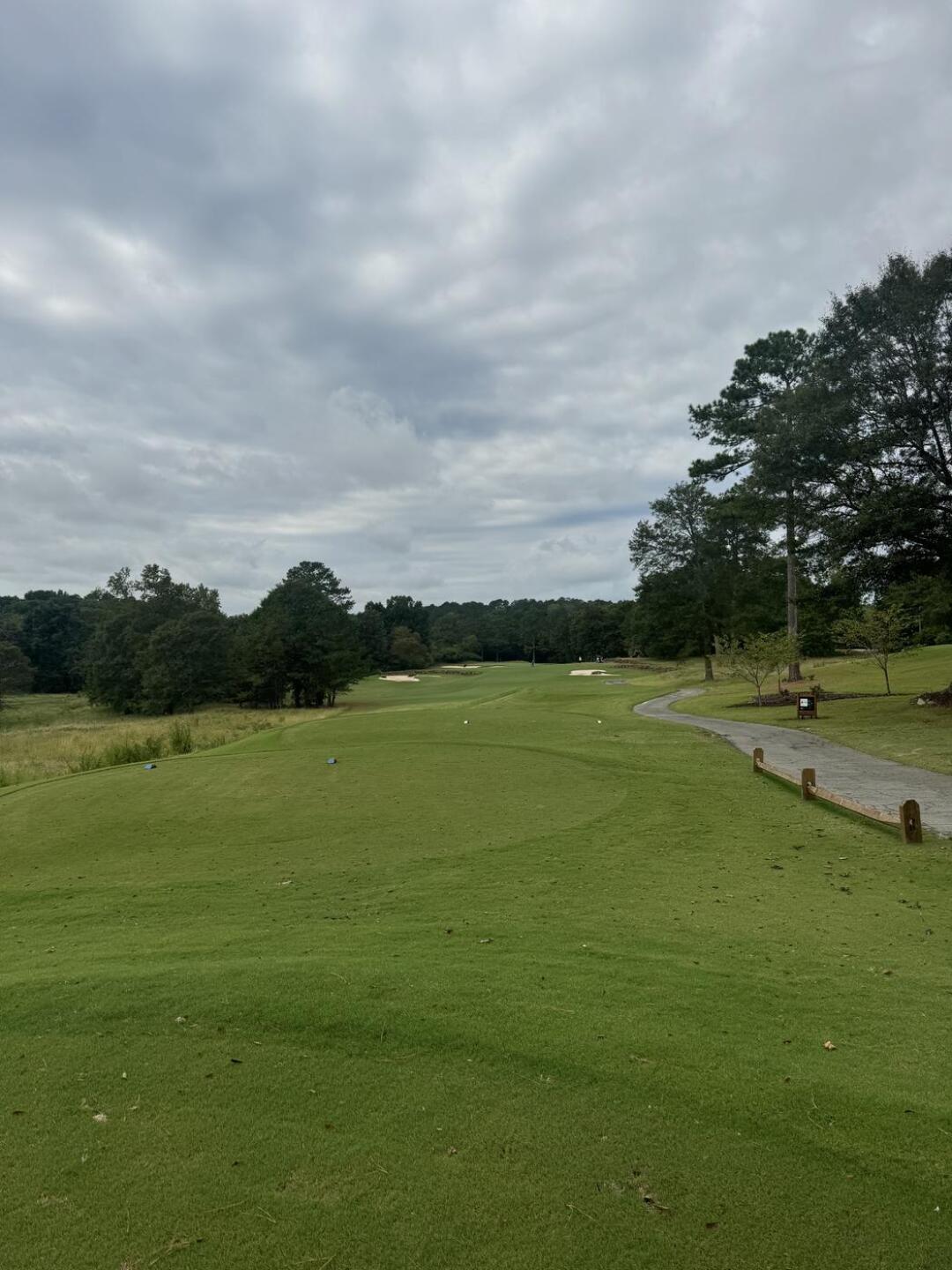 (Photo submitted by 1dvBxMDe5asSB6jCWA9k on 10/21/2024)