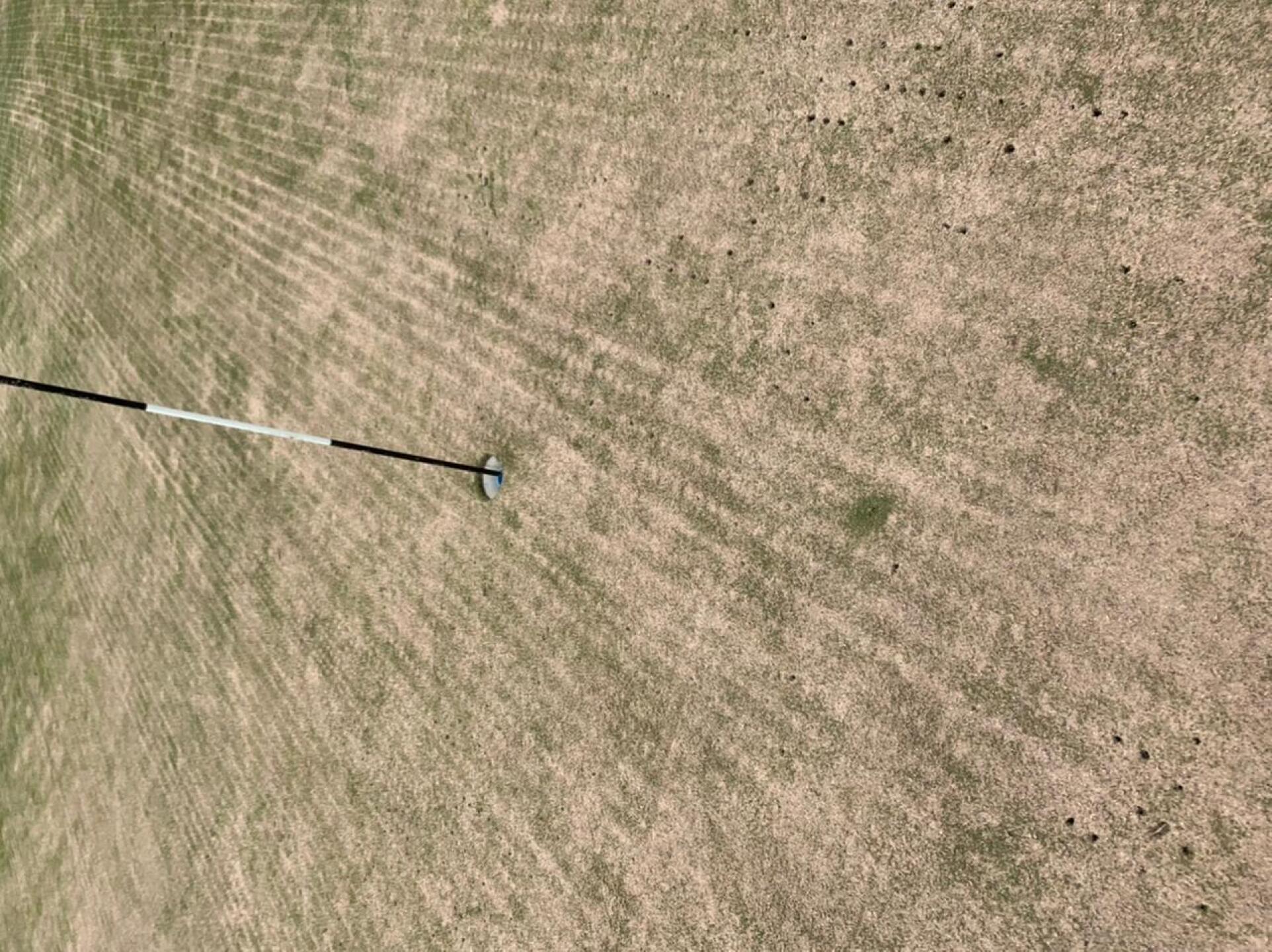 (Photo submitted by u314160456477 on 08/11/2020)