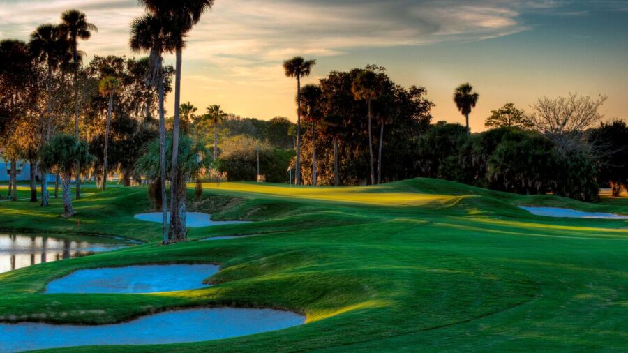 Palm Harbor GC: #13