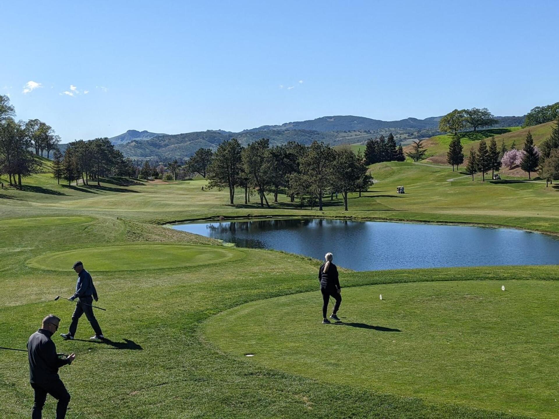 (Photo submitted by linz4ucla on 02/23/2022)