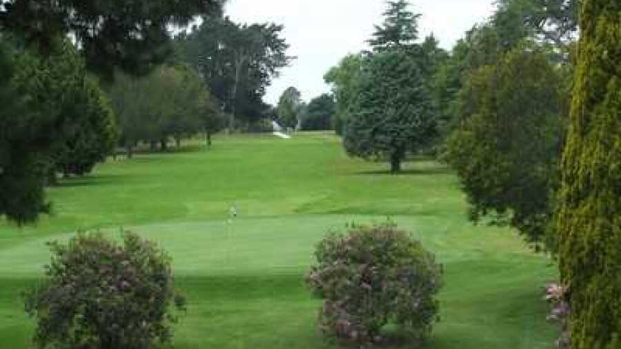 Napier GC: #8