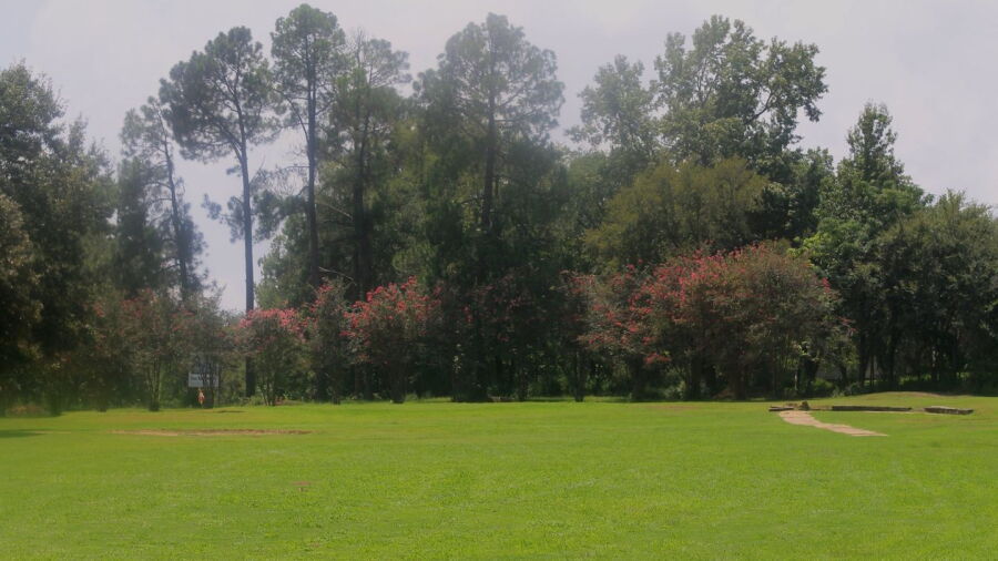 Henderson CC