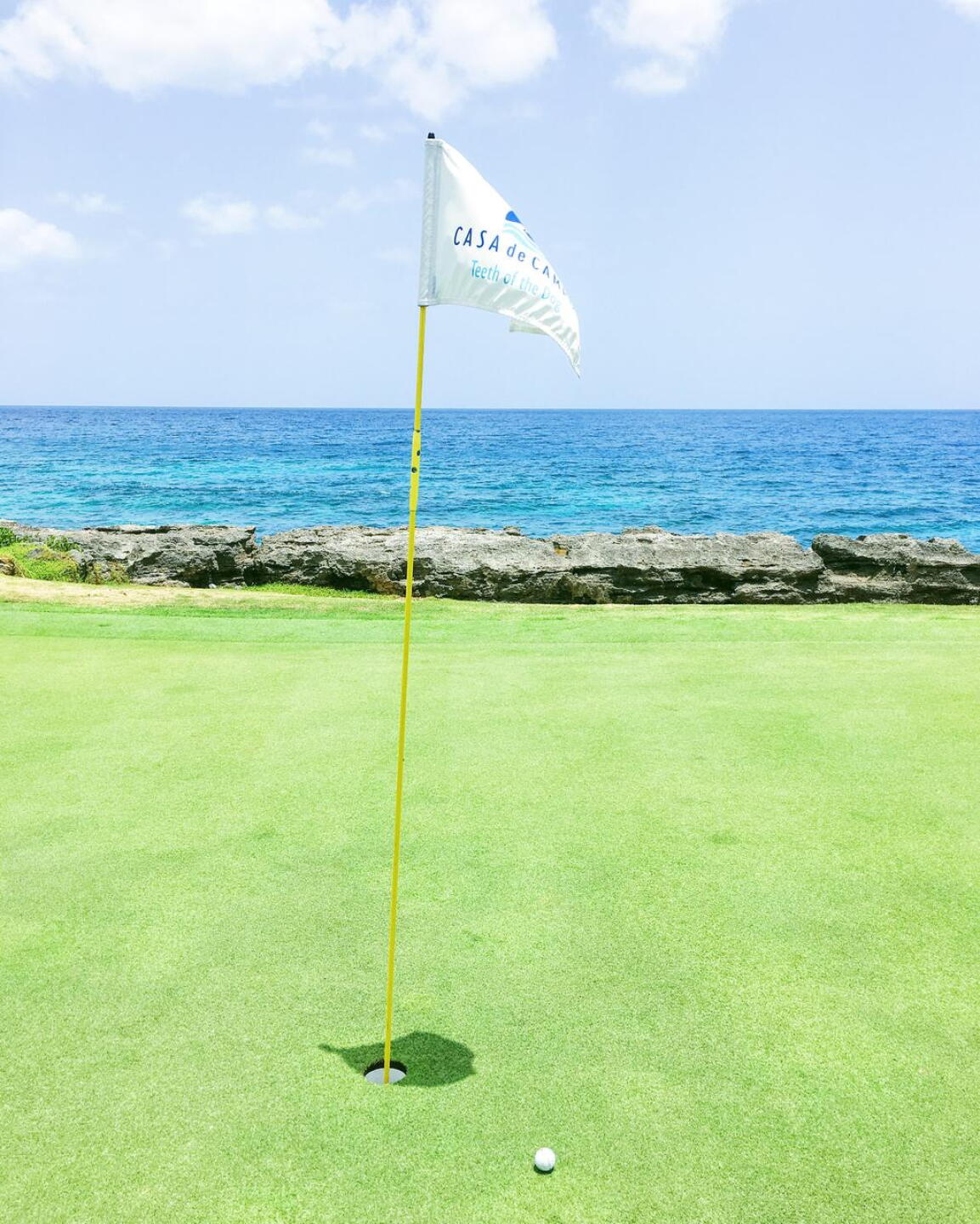 The green on the 8th hole. (Photo submitted by odominguez on 11/09/2016)