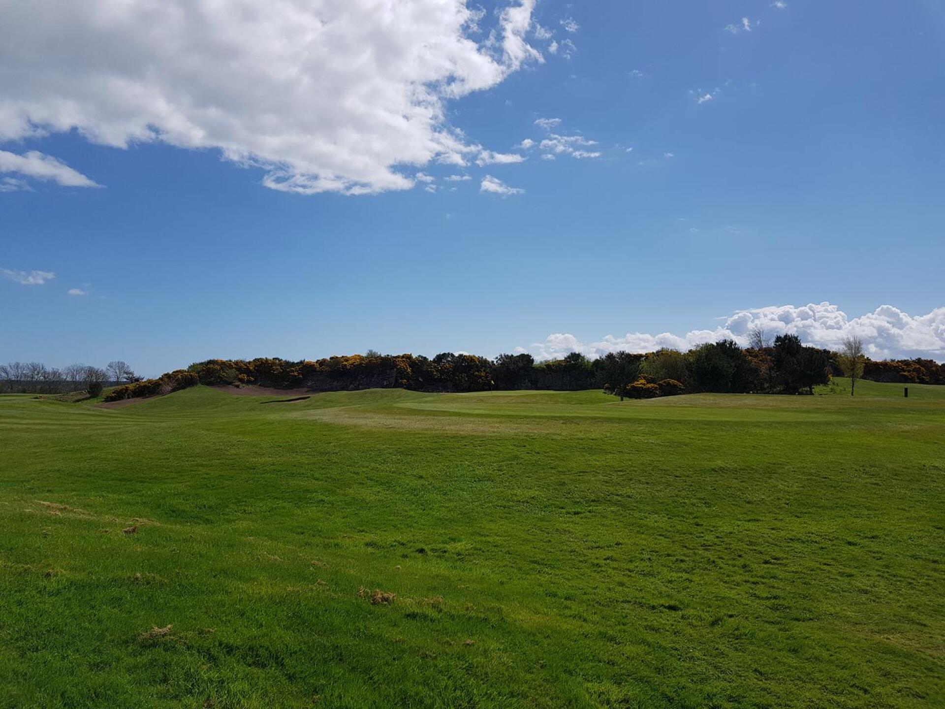 Beautiful Green (Photo submitted by t1196176880 on 04/29/2018)