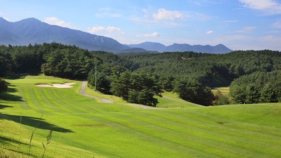 Plaza CC - Sun-Rise/Mountain View: #16