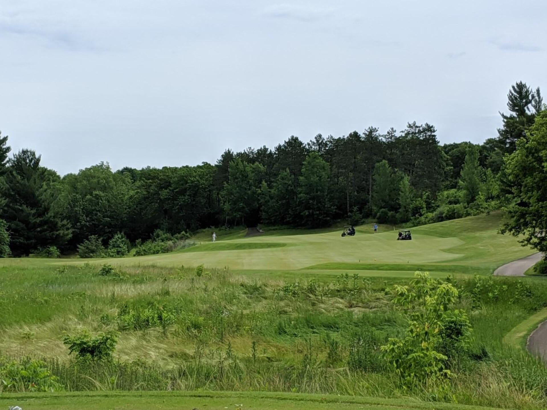 Hole 2 on the Blue Course (Photo submitted by GolferJake78 on 06/30/2019)