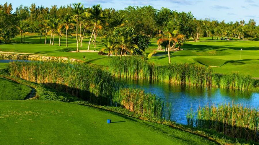 Lakes at Barcelo Bavaro GC: #3