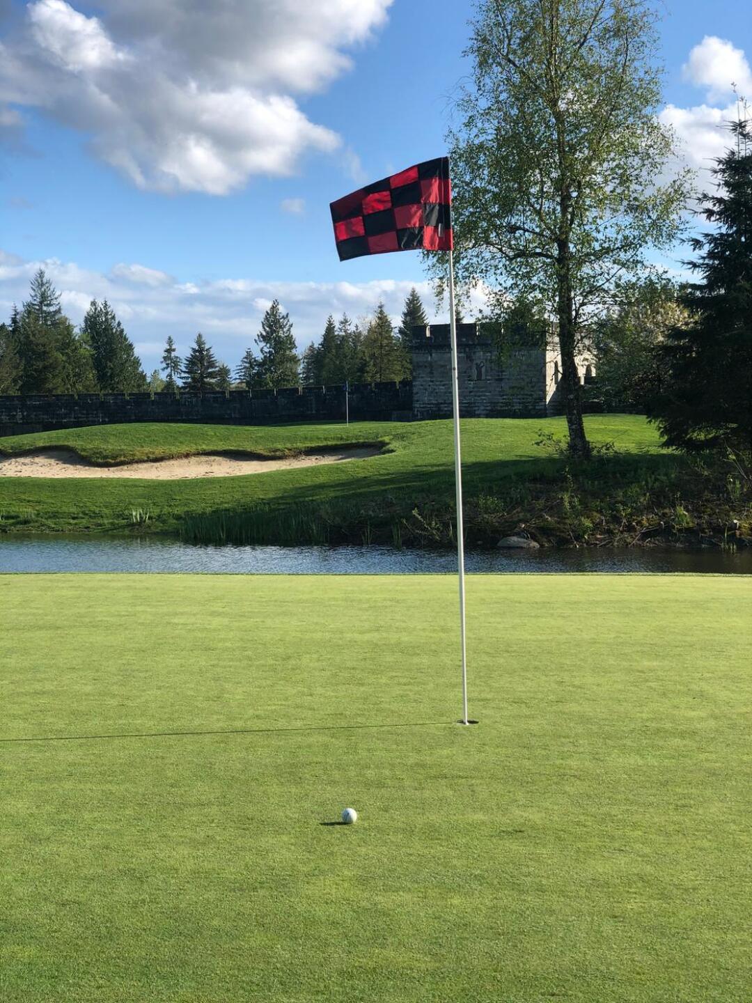 (Photo submitted by hibbsy84 on 04/29/2020)