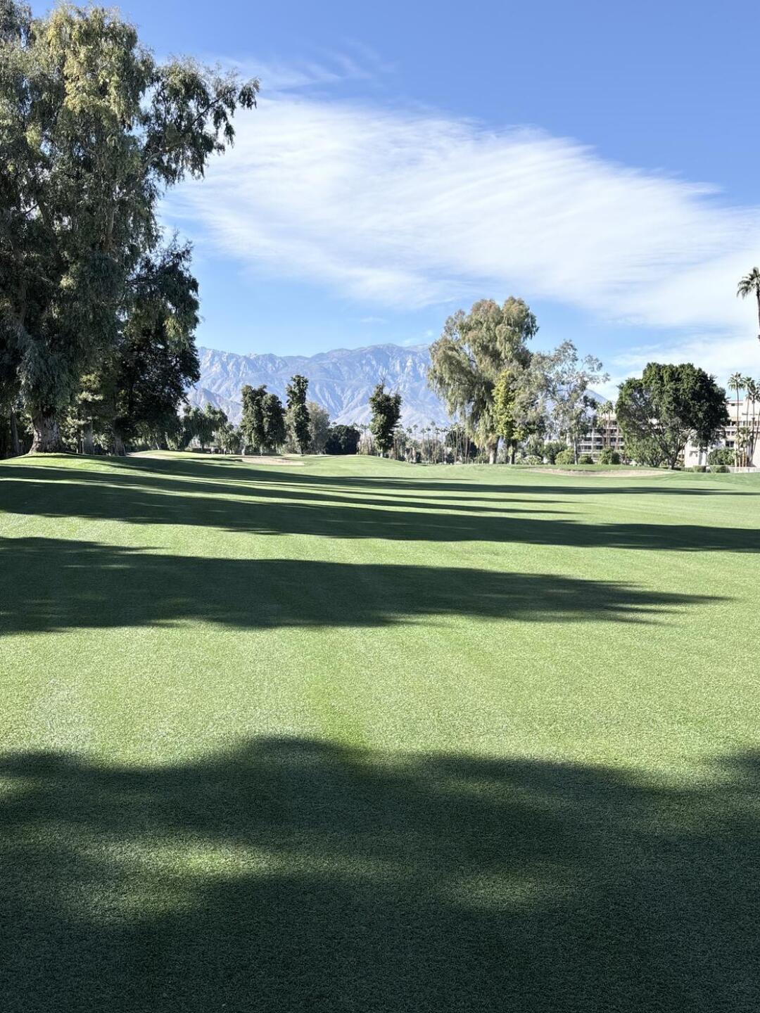 (Photo submitted by frankbillings on 01/15/2026)