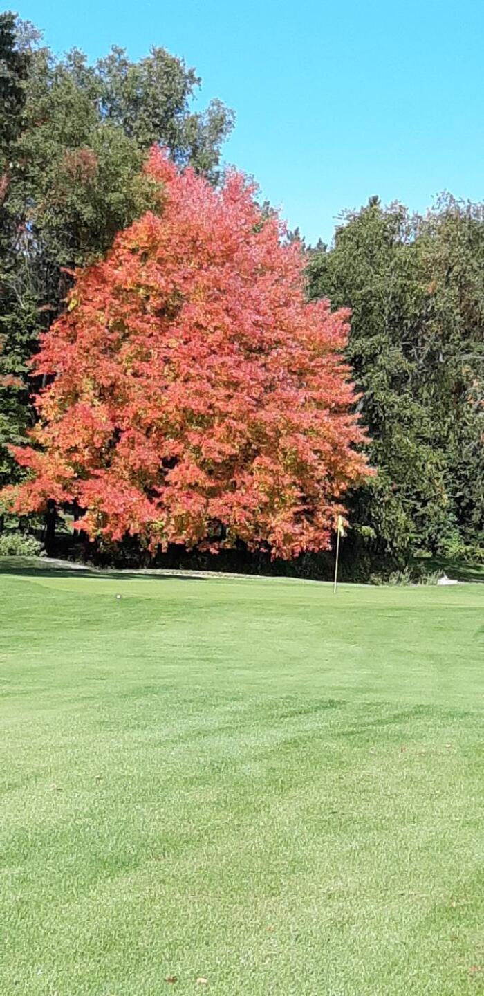 (Photo submitted by u314159932548 on 10/11/2022)