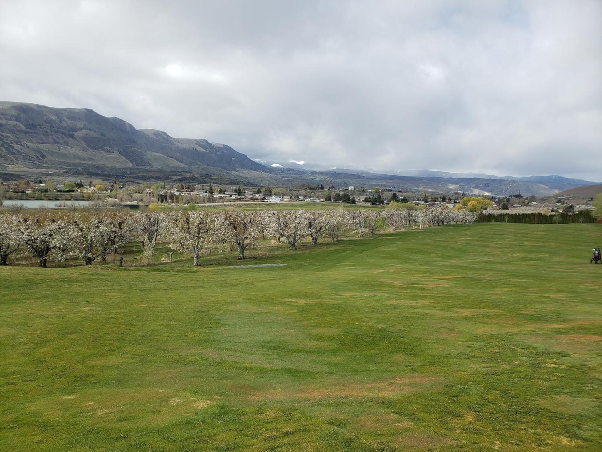 (Photo submitted by soundertillidie on 04/11/2021)