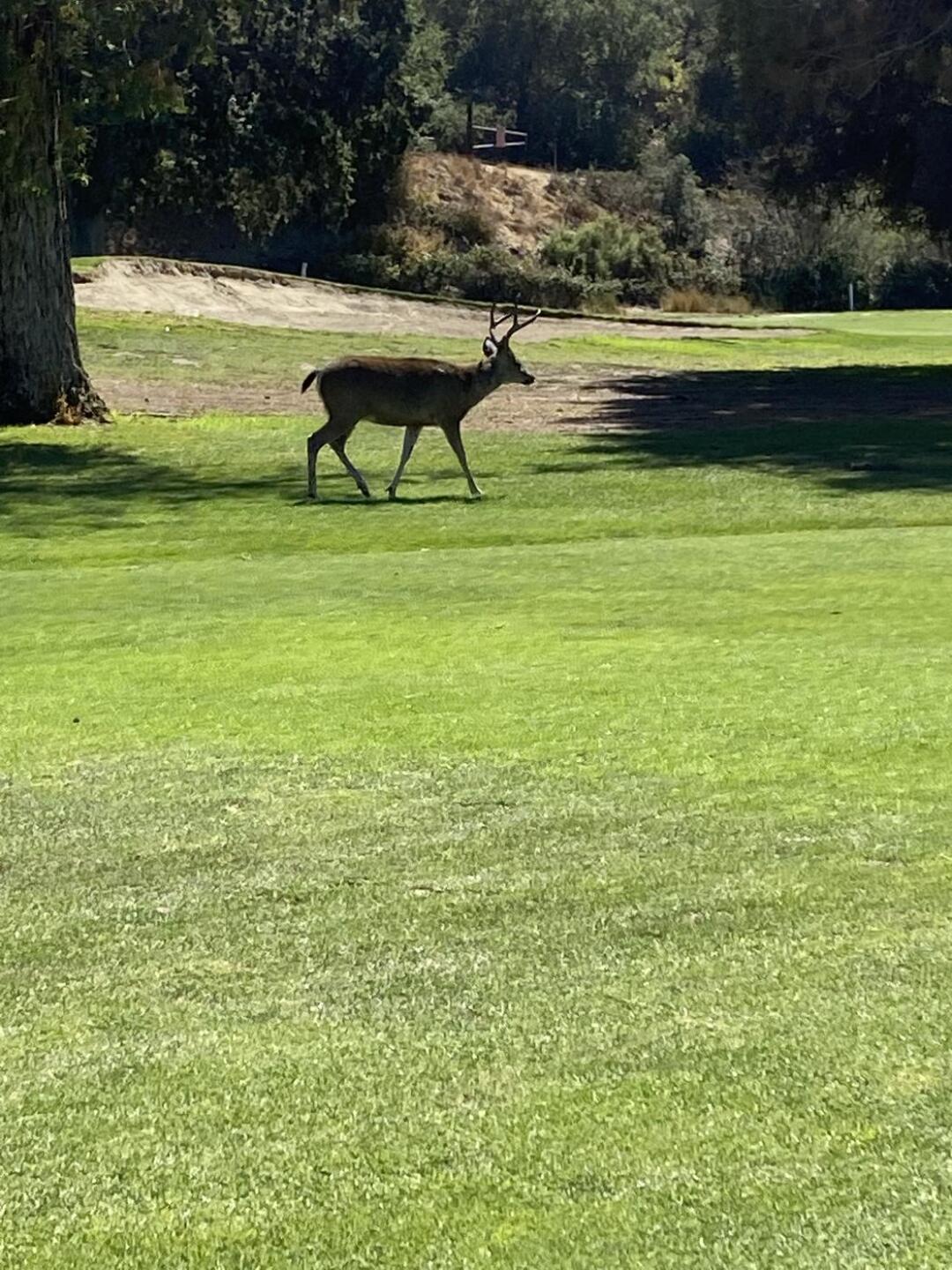 (Photo submitted by Seth6753355 on 08/13/2022)