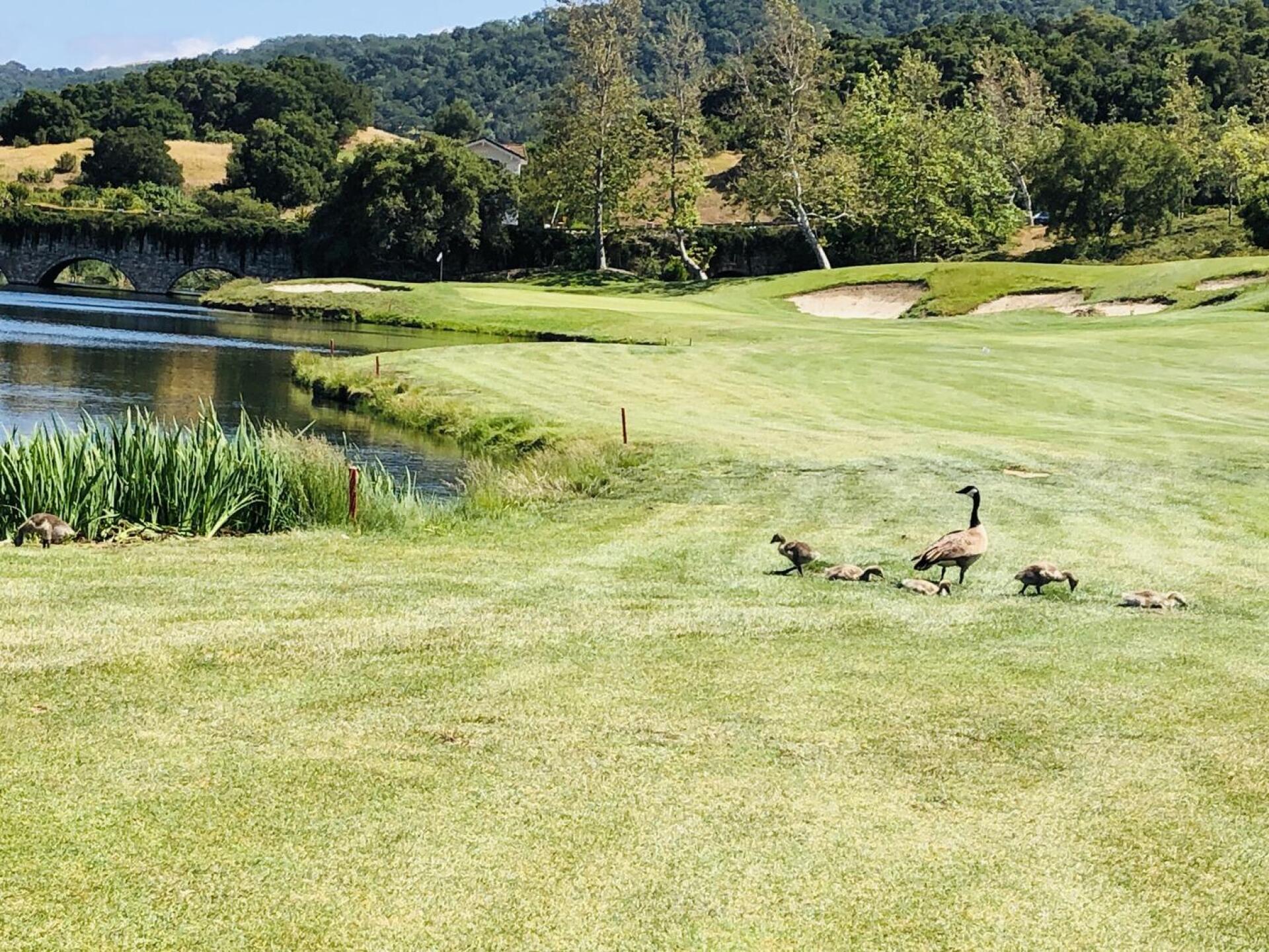 A birdie hole! (Photo submitted by u000007953269 on 12/08/2020)