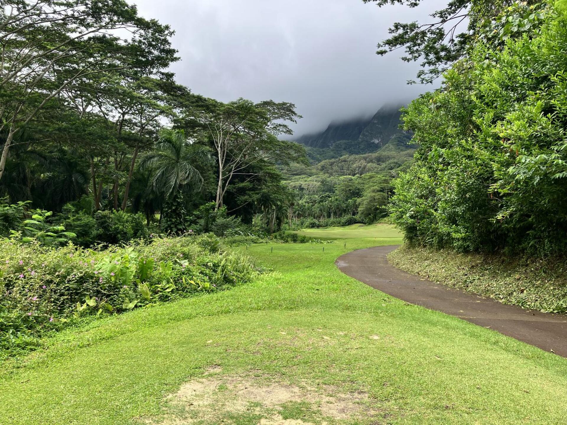 (Photo submitted by beckyd88 on 06/17/2023)