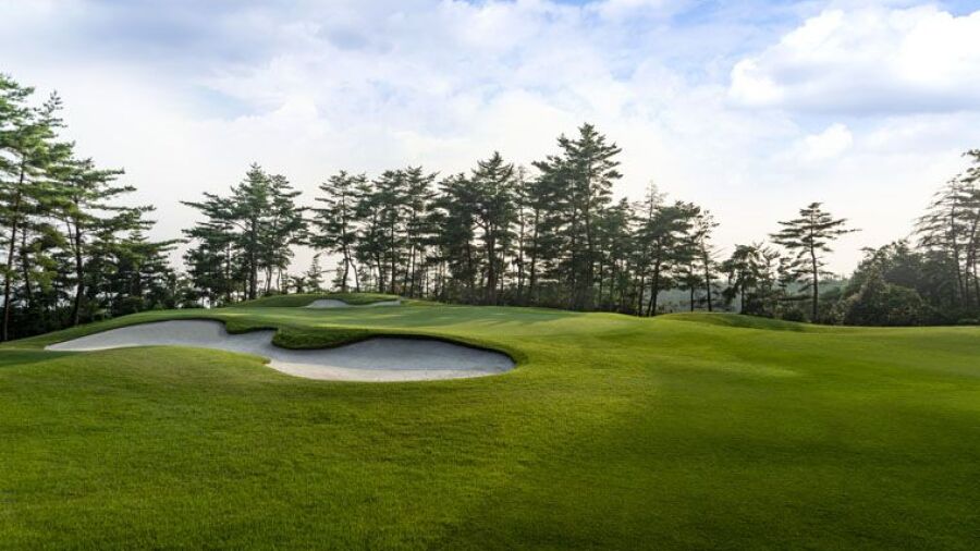 Zuiryo GC: #10