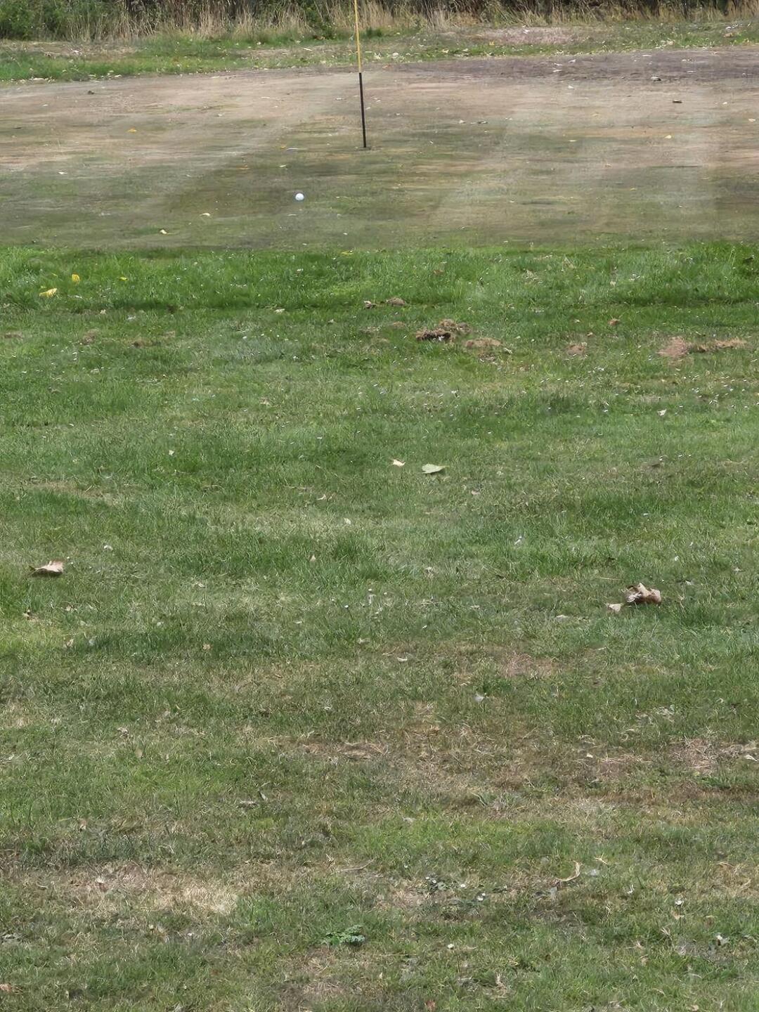 (Photo submitted by t245364454 on 08/17/2025)