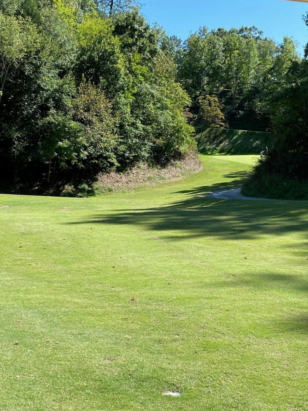 #10 Tight fairway par 5 (Photo submitted by mdildine on 09/28/2020)