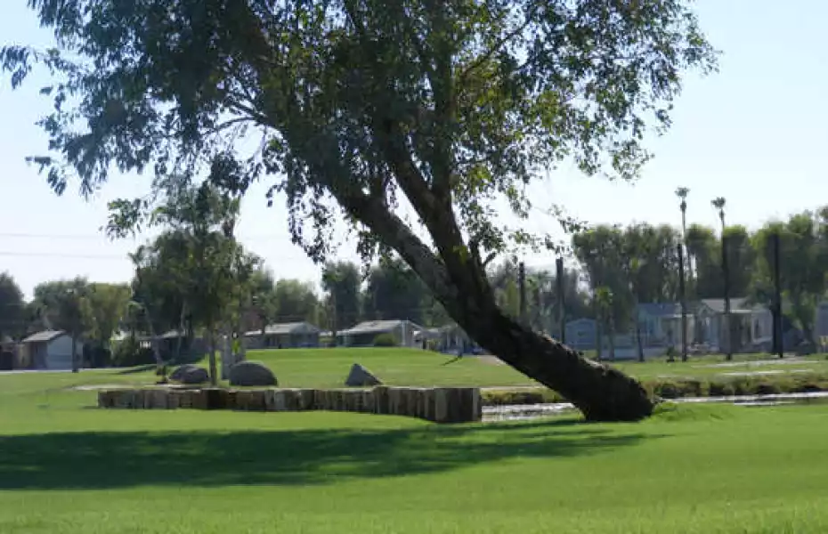 Desert Trail RV Resort & GC