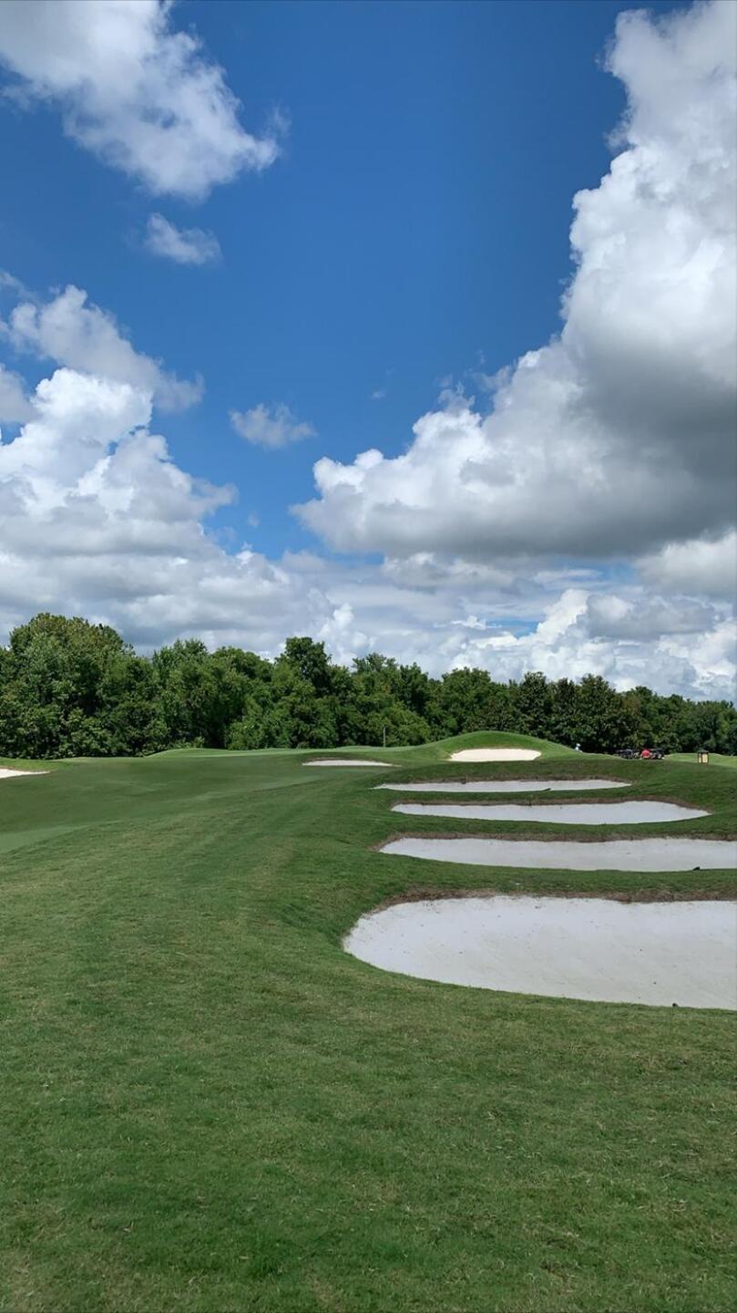 (Photo submitted by WheatonWhaler on 08/22/2020)