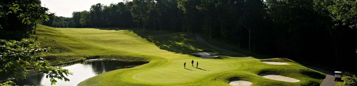Shanty Creek - Cedar River: #18