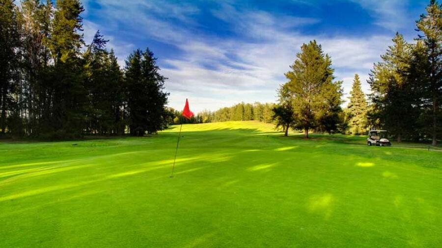Pineridge Golf Resort: #2