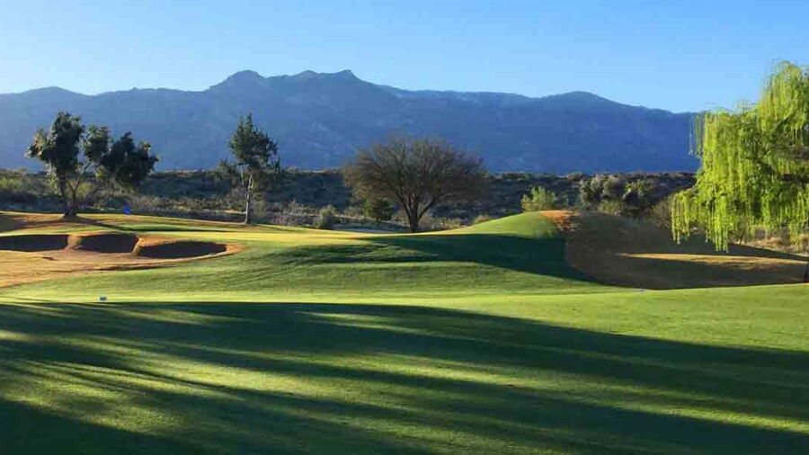 SaddleBrooke CC