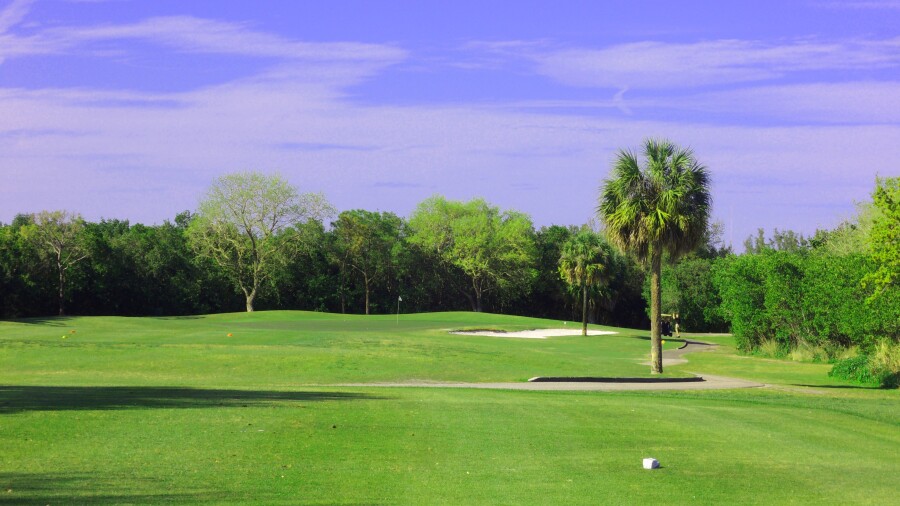 Mangrove Bay Golf Course - No. 15