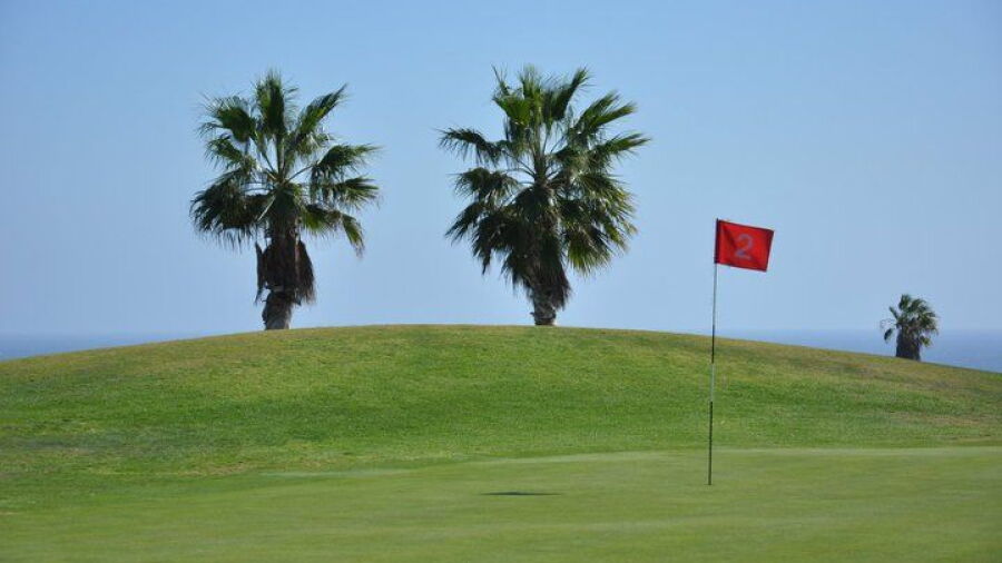 Golf del Sur - Links Nine: #2