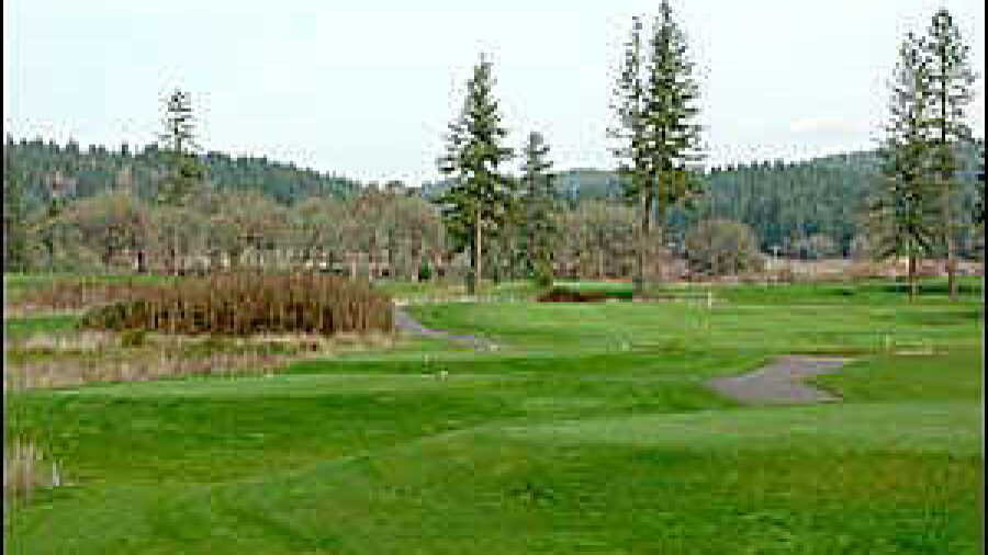 Mallard Creek #8