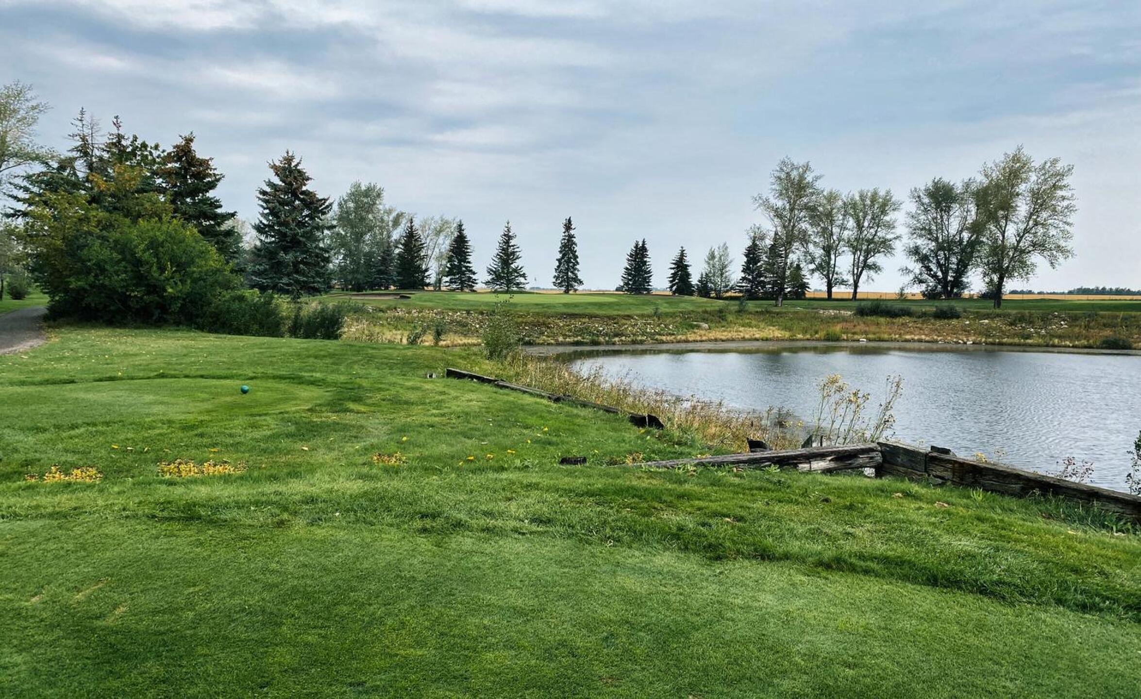 Carstairs Community GC, Hole 8, Par 3,132 yds (Photo submitted by DYakimec on 10/18/2023)